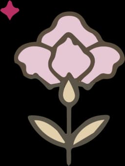 תהליך העיבוד - שלב 4